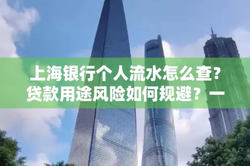 上海银行个人流水怎么查?贷款用途风险如何规避?一文解答